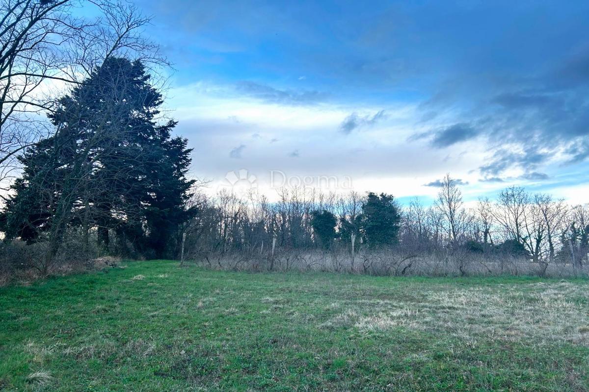 Terreno edificabile Žminj, 1.100m2