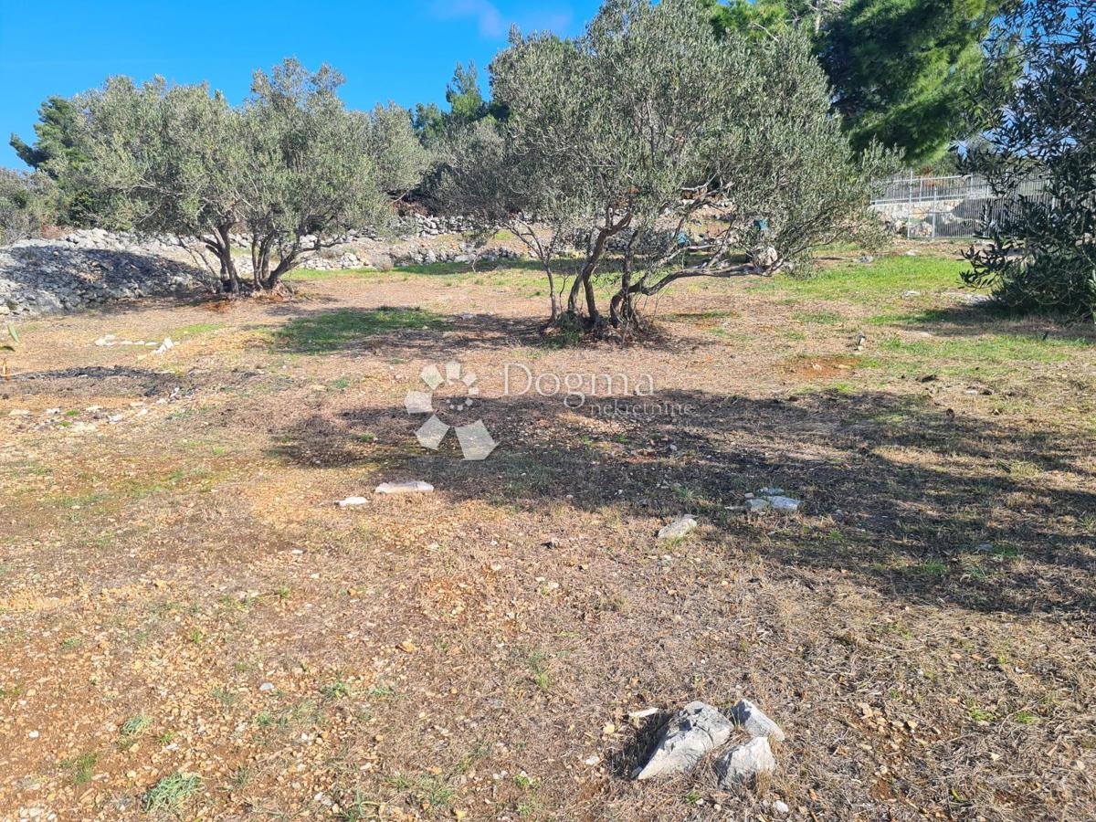 Terreno agricolo Pirovac, 3.879m2