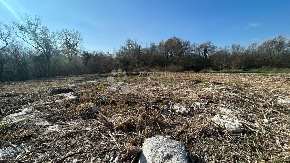 TERRENO EDIFICABILE ATTRAENTE - zona Parenzo