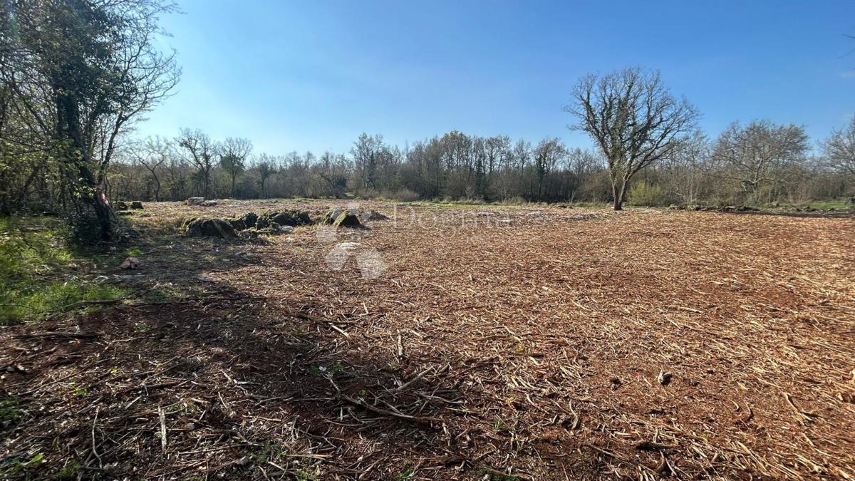 TERRENO EDIFICABILE ATTRAENTE - zona Parenzo