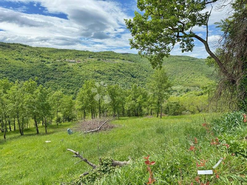 Terreno con un progetto a Montona