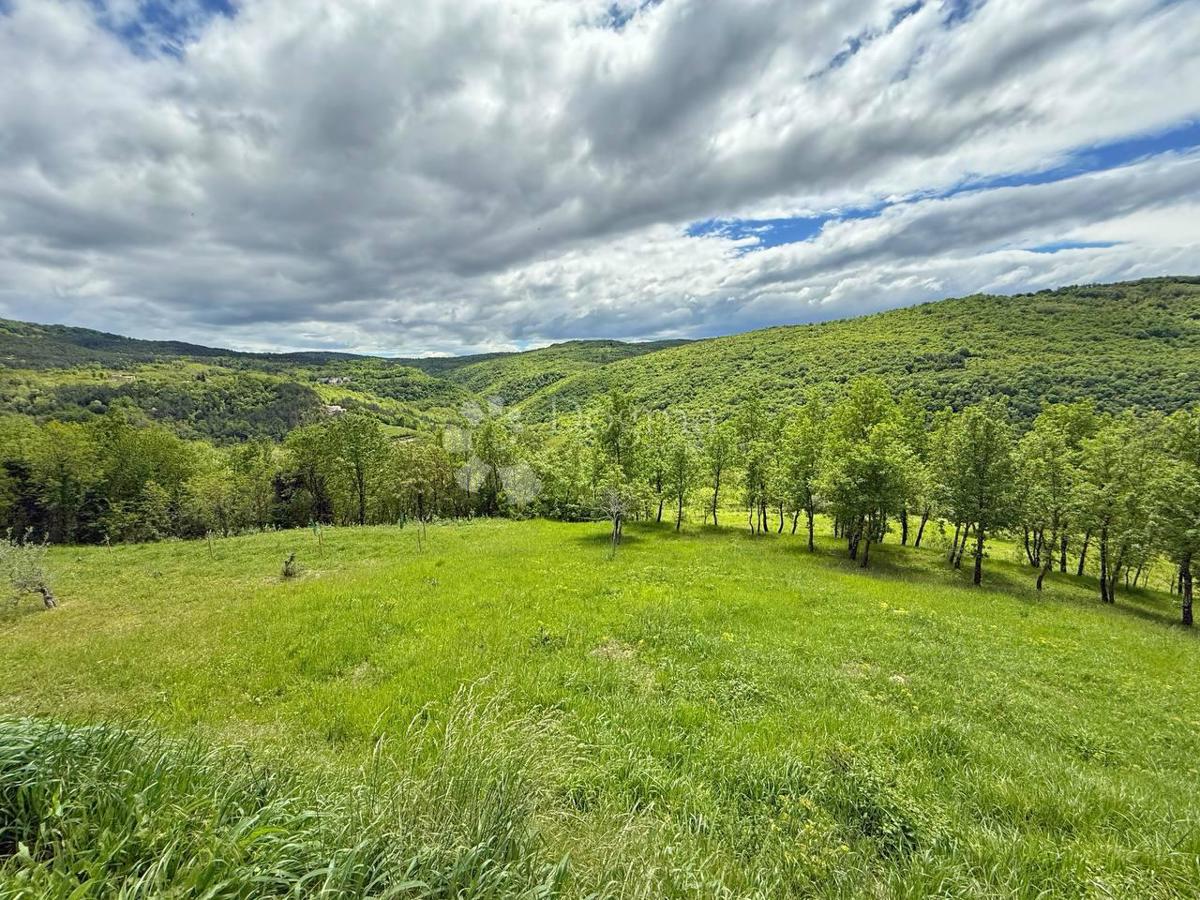 Terreno con un progetto a Montona