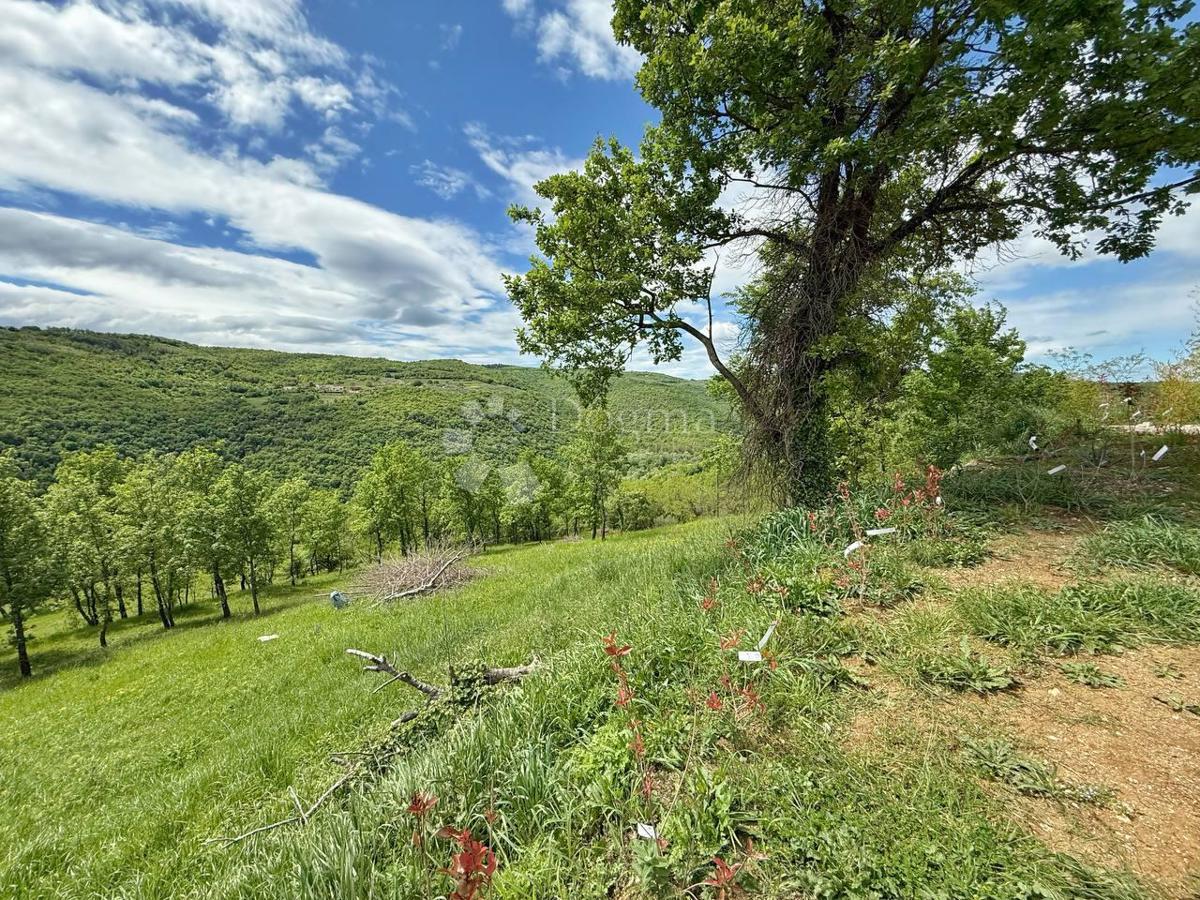 Terreno con un progetto a Montona
