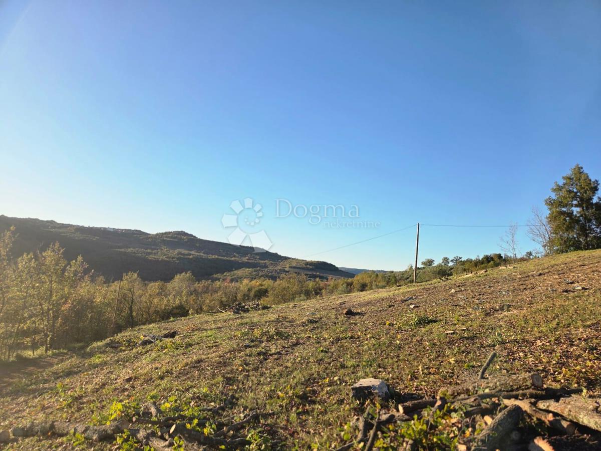 Terreno con un progetto a Montona