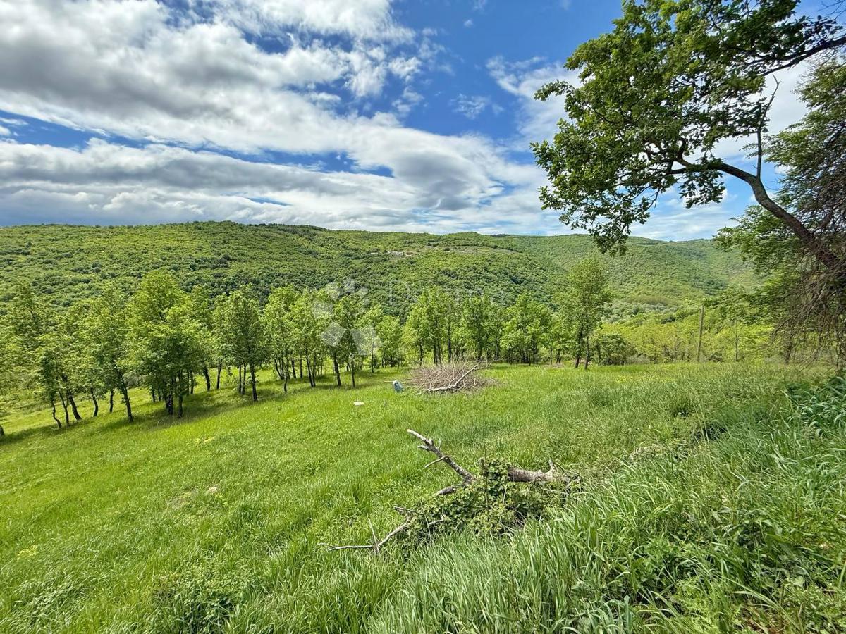 Terreno con un progetto a Montona