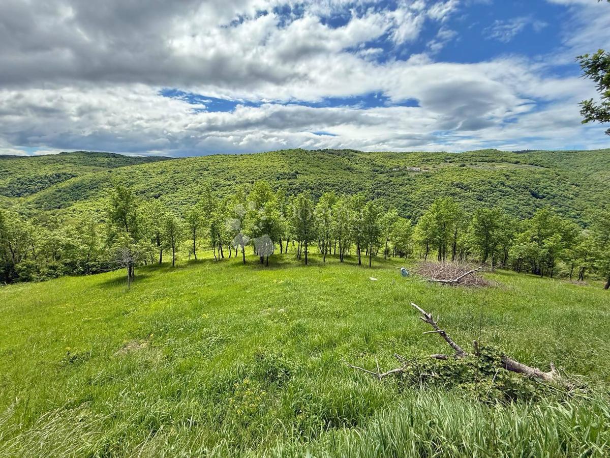 Terreno con un progetto a Montona