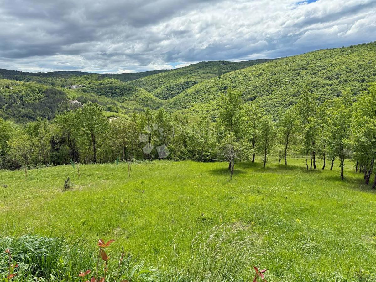 Terreno con un progetto a Montona