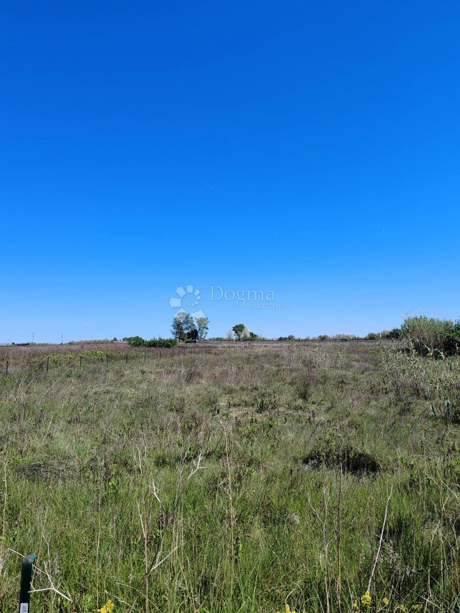Terreno edificabile Sabunike, Privlaka, 2.342m2