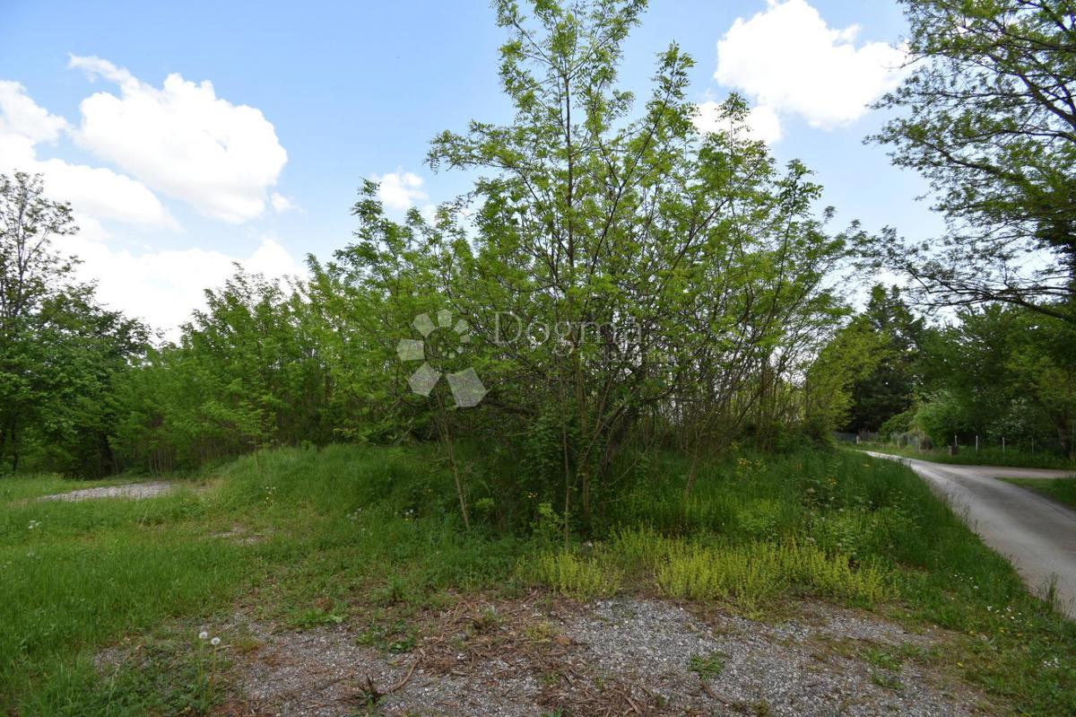 Terreno edificabile Labin, 1.656m2