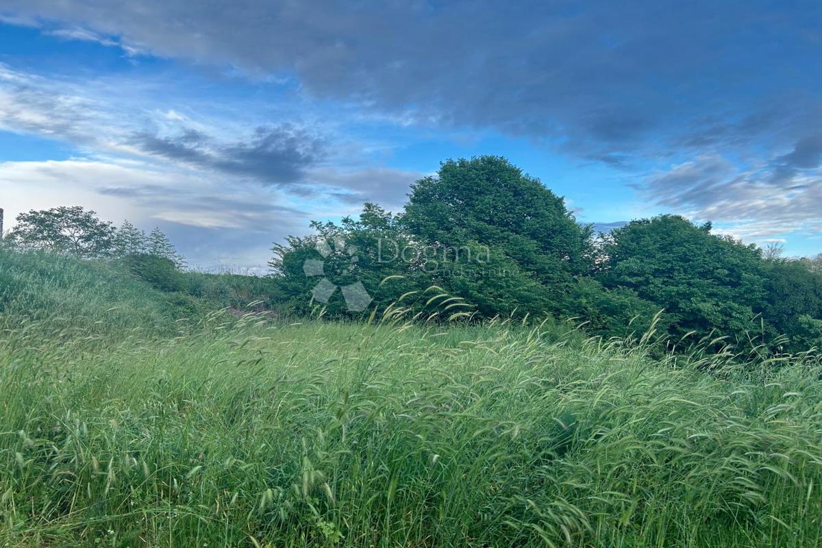 Terreno edificabile Vodnjan, 737m2