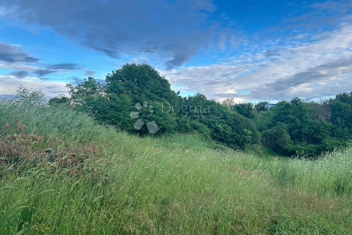 Terreno edificabile Vodnjan, 737m2