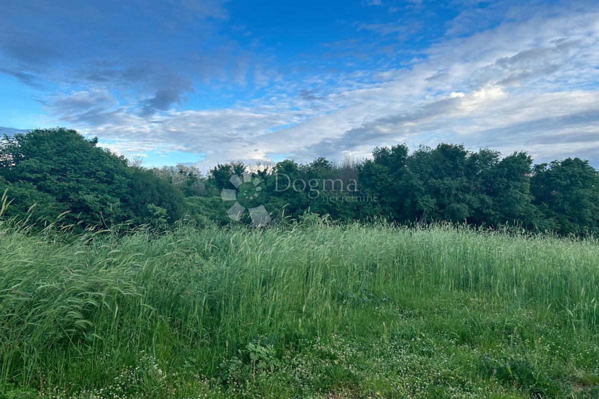 Terreno edificabile Vodnjan, 737m2