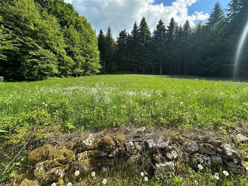 Casa Brušane, Gospić - Okolica, 150m2