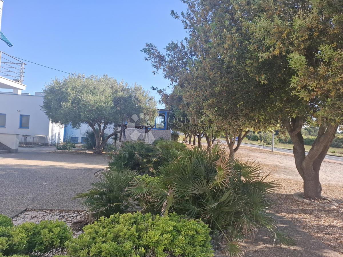 Locale commerciale Zaton, Nin, 502m2