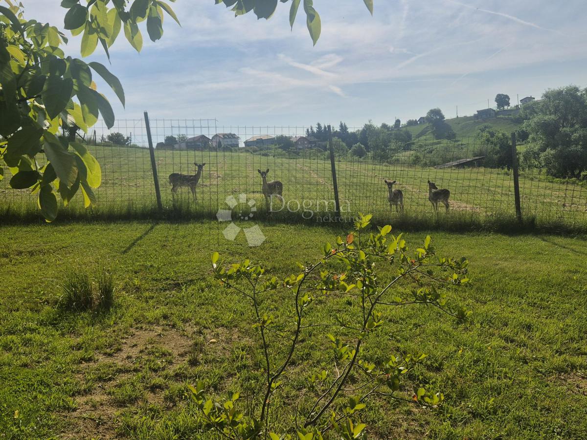 Casa Trški Vrh, Krapina - Okolica, 180m2