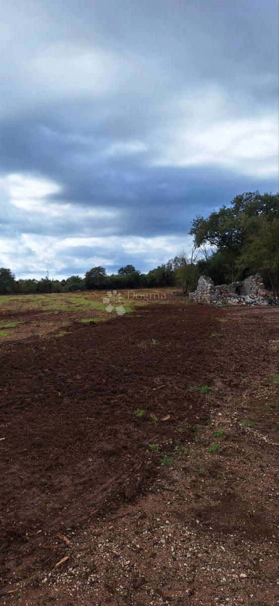 Terreno agricolo Rovinj, 13.744m2