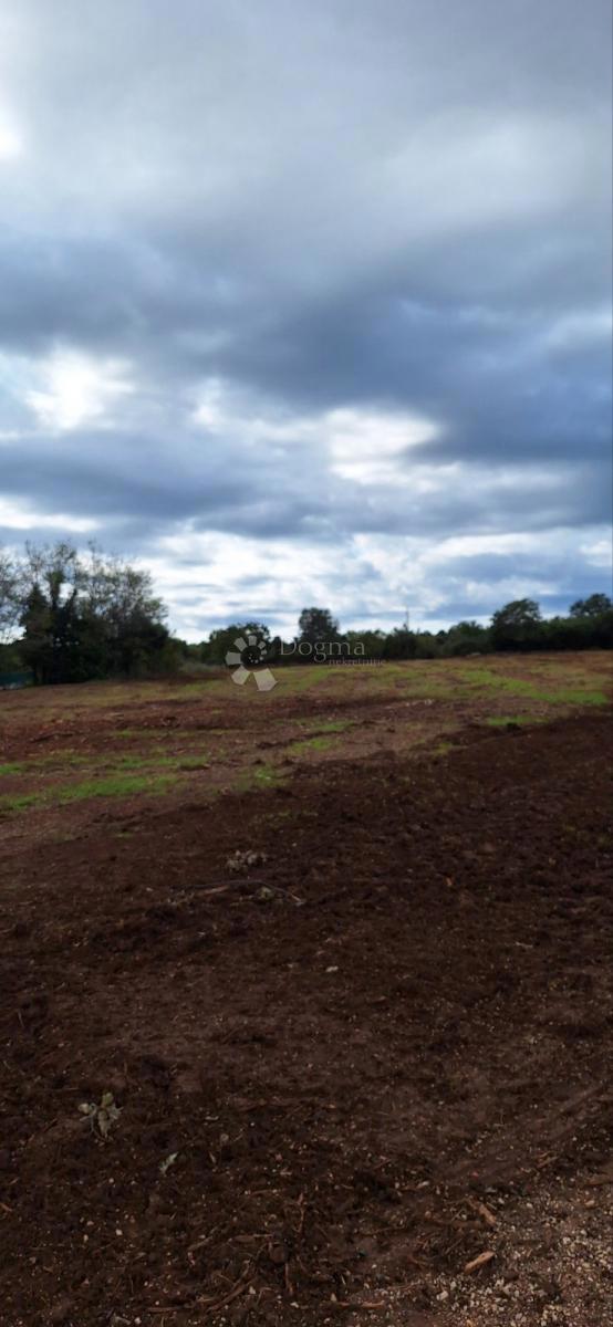 Terreno agricolo Rovinj, 13.744m2