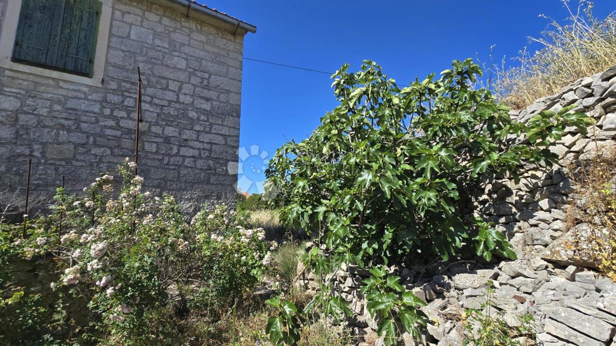 Casa Gornji Humac, Pučišća, 390m2