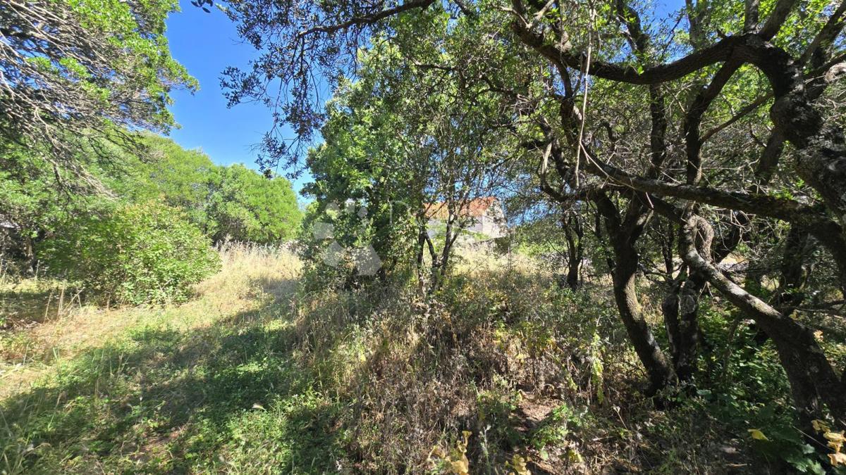 Casa Gornji Humac, Pučišća, 390m2