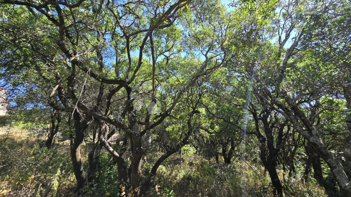 Casa Gornji Humac, Pučišća, 390m2