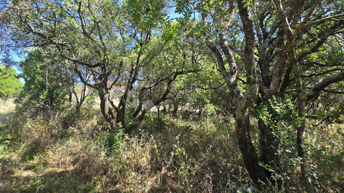 Casa Gornji Humac, Pučišća, 390m2