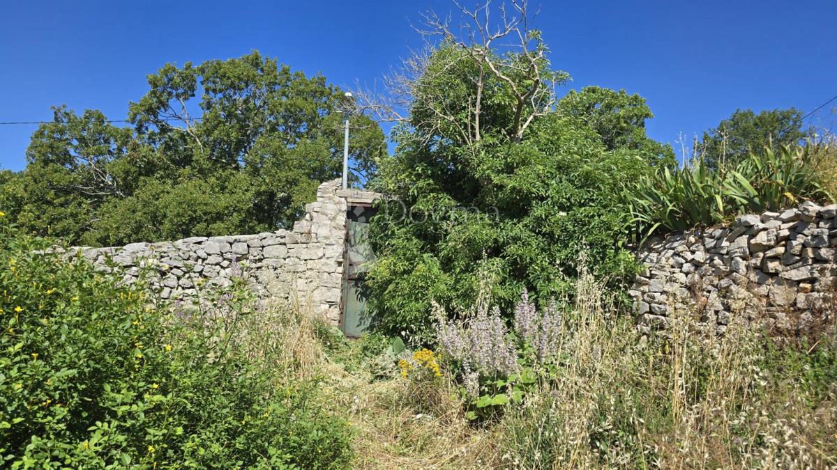 Casa Gornji Humac, Pučišća, 390m2