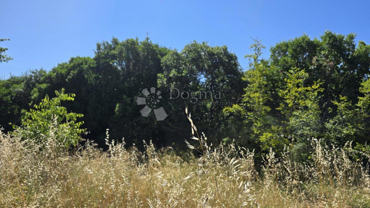 Casa Gornji Humac, Pučišća, 390m2
