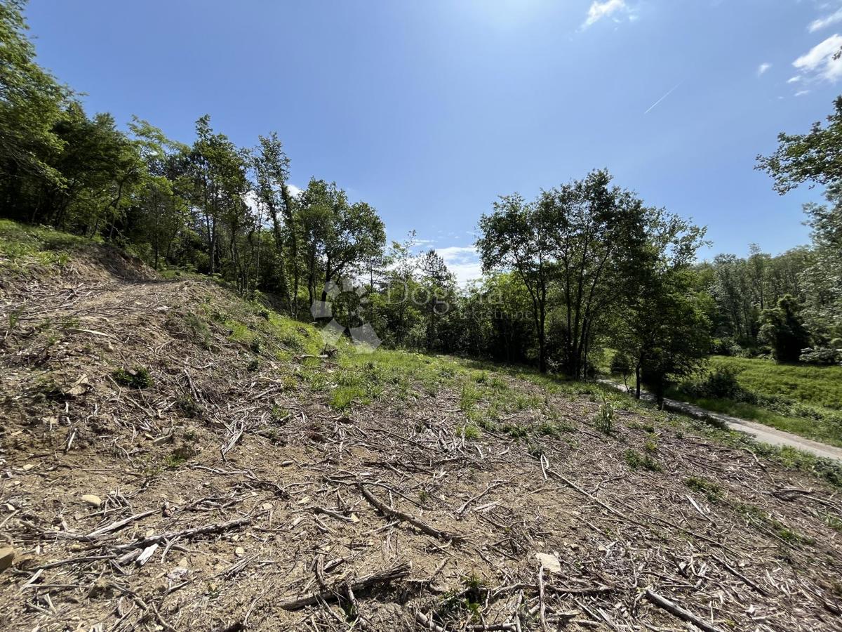 DINTORNI DI MONTONA, TERRENO PER CAMPEGGIO (T3)