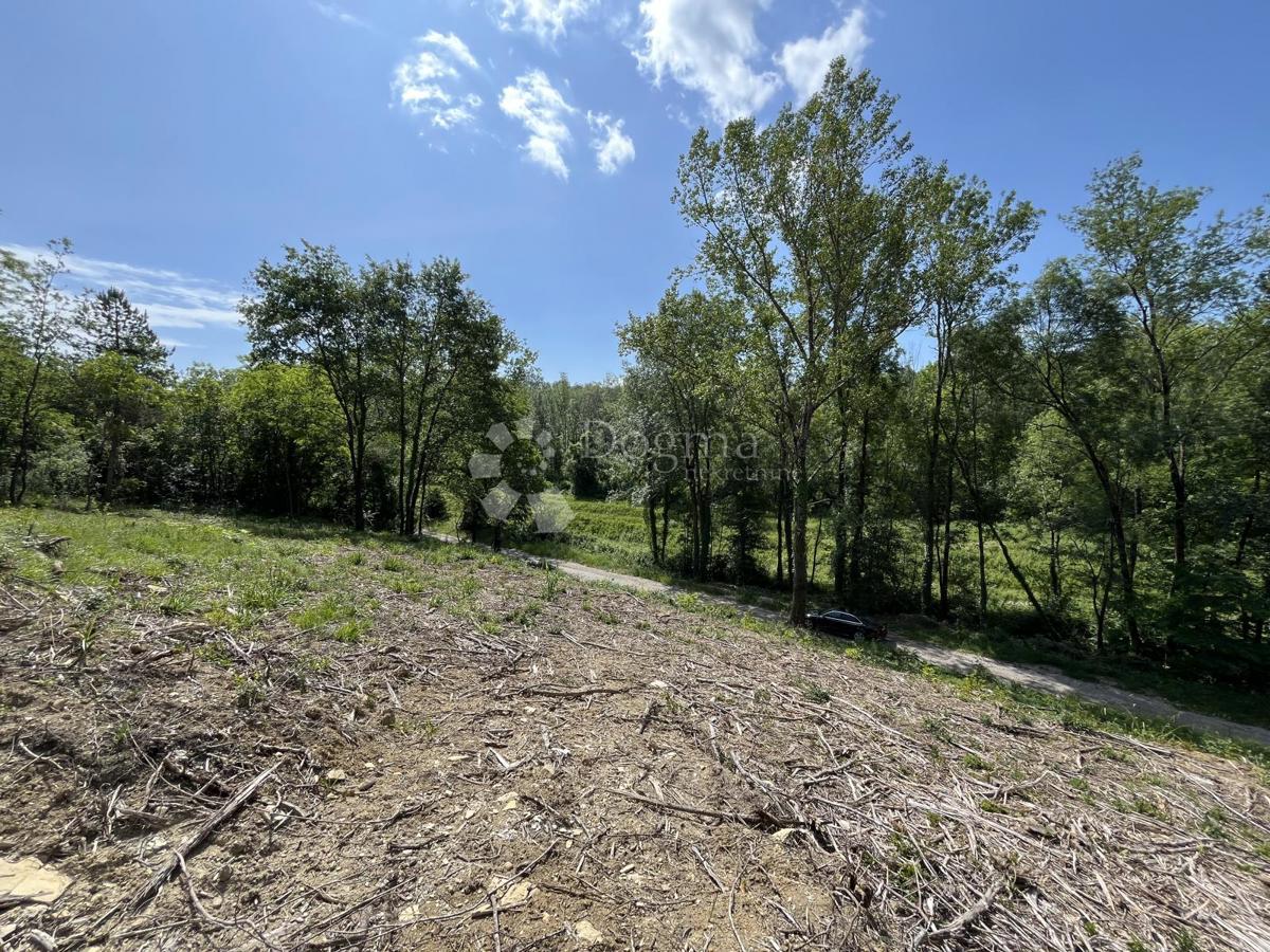 DINTORNI DI MONTONA, TERRENO PER CAMPEGGIO (T3)