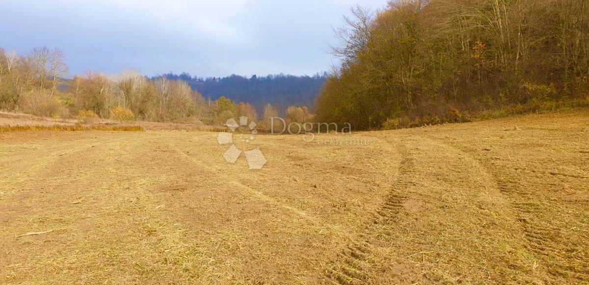 Terreno edificabile Slunj, 19.667m2