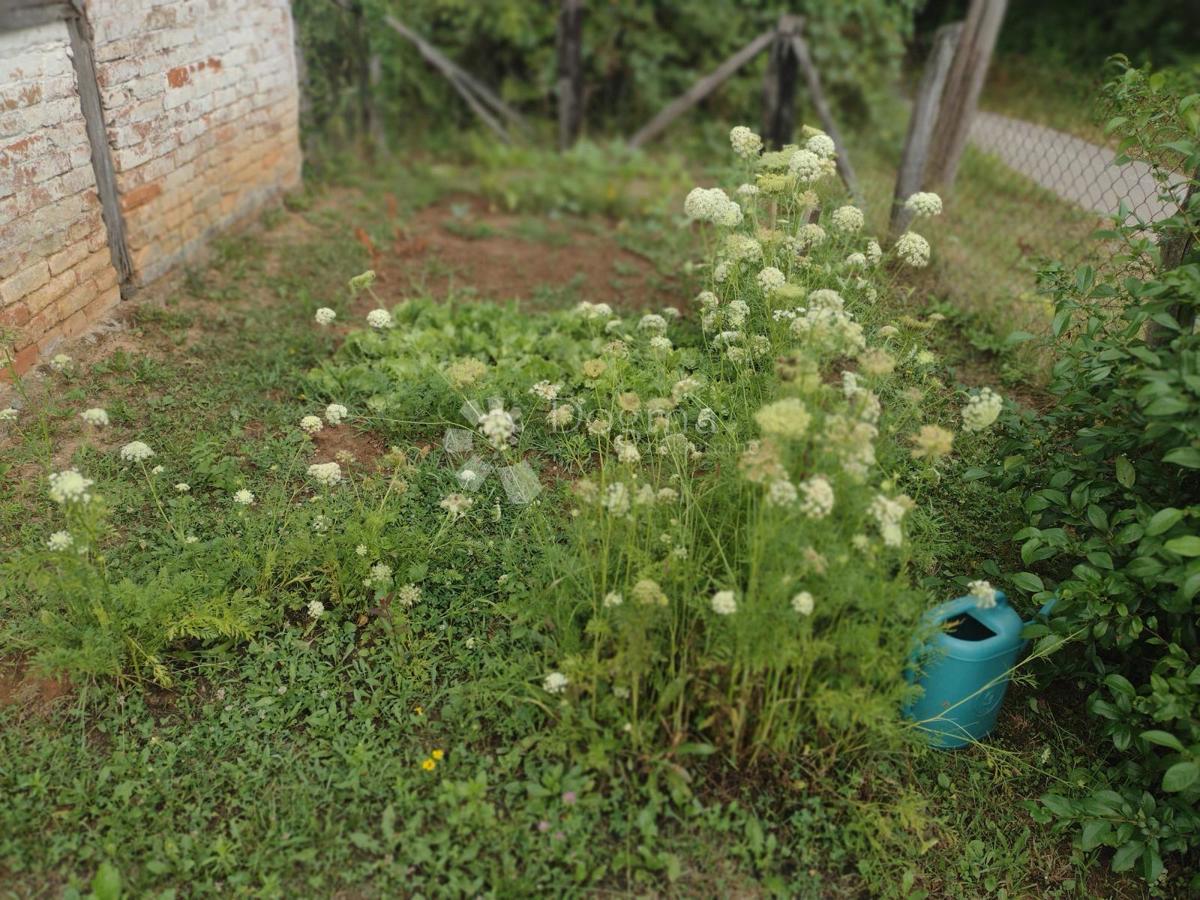 Casa Slavsko Polje, Gvozd, 100m2