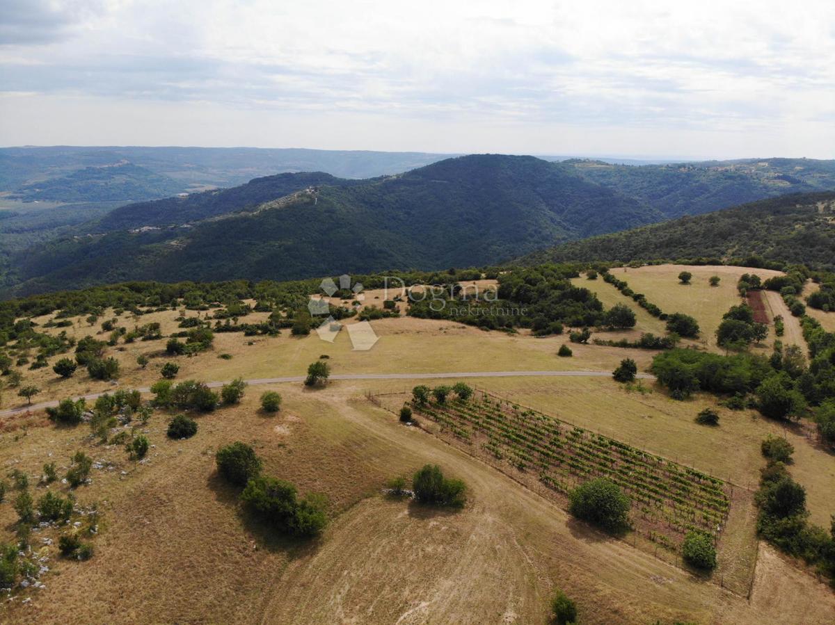 Terreno edificabile Oprtalj, 9.481m2