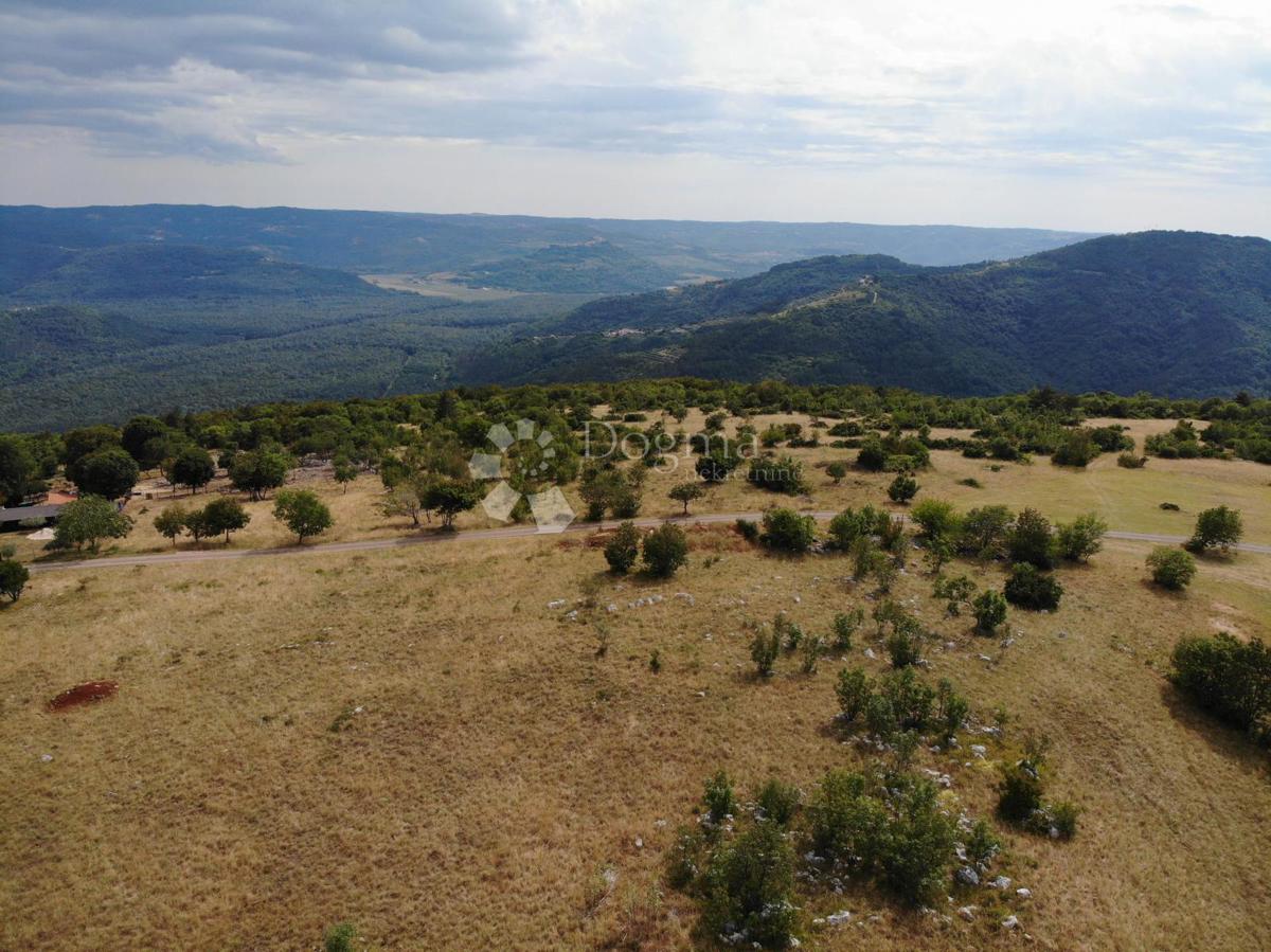 Terreno edificabile Oprtalj, 9.481m2
