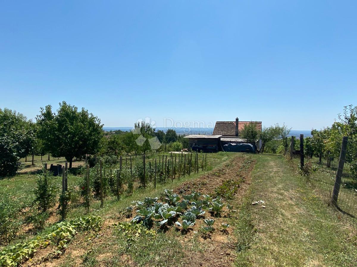 Casa Podvinje, Slavonski Brod, 4.646m2