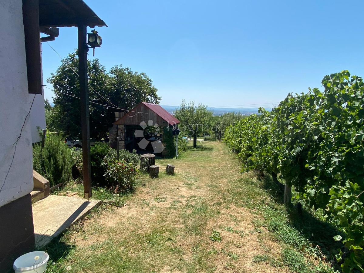 Casa Podvinje, Slavonski Brod, 4.646m2