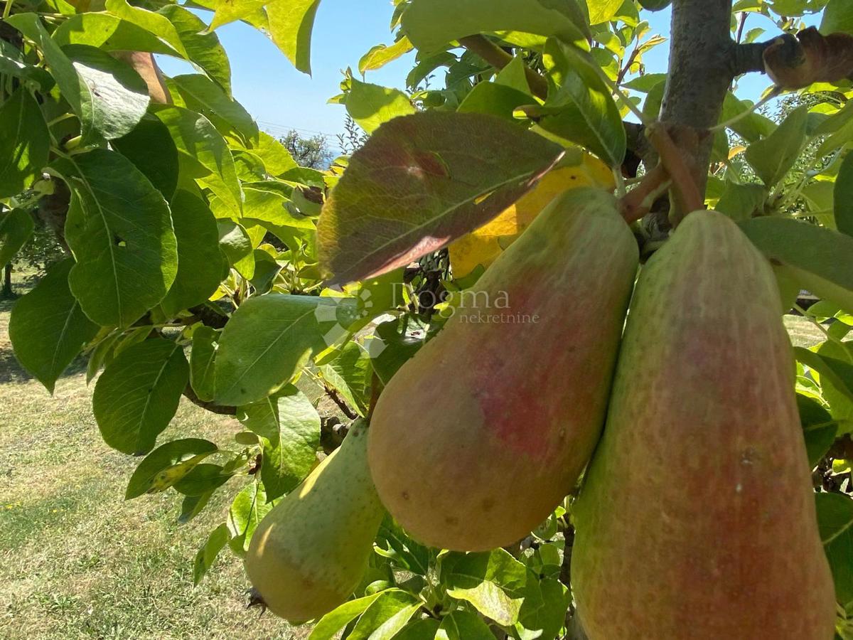 Casa Podvinje, Slavonski Brod, 4.646m2
