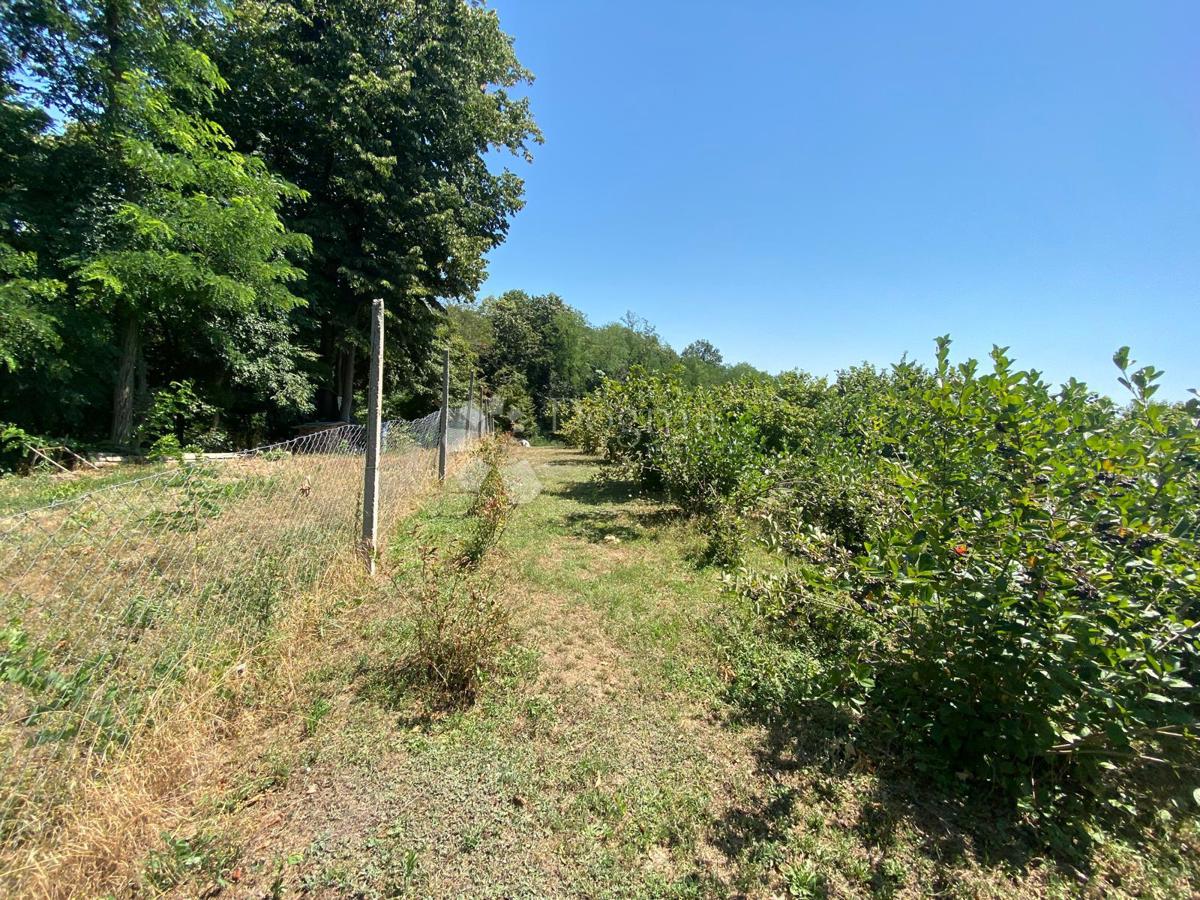 Casa Podvinje, Slavonski Brod, 4.646m2