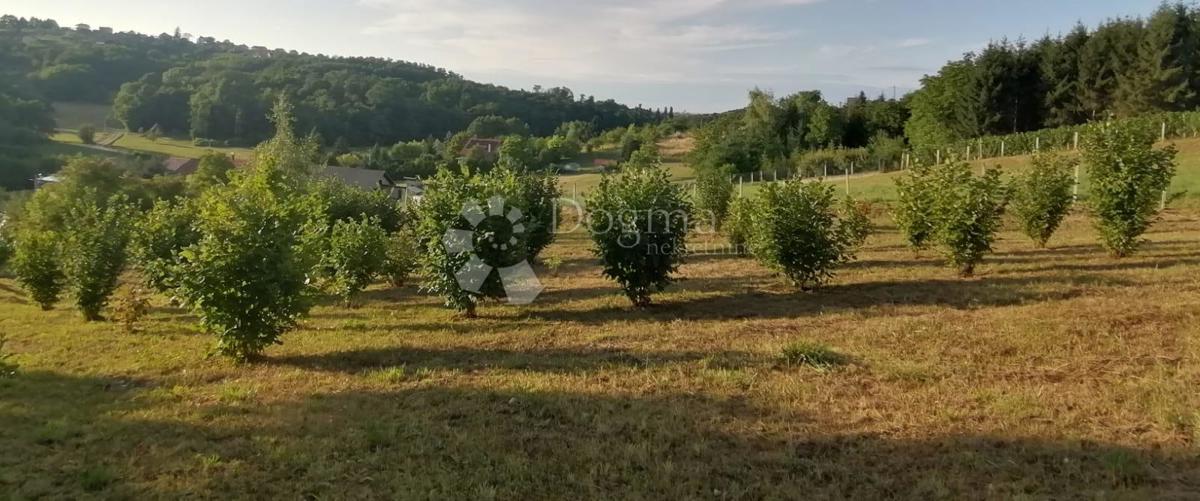 Casa Varaždin Breg, Gornji Kneginec, 78m2