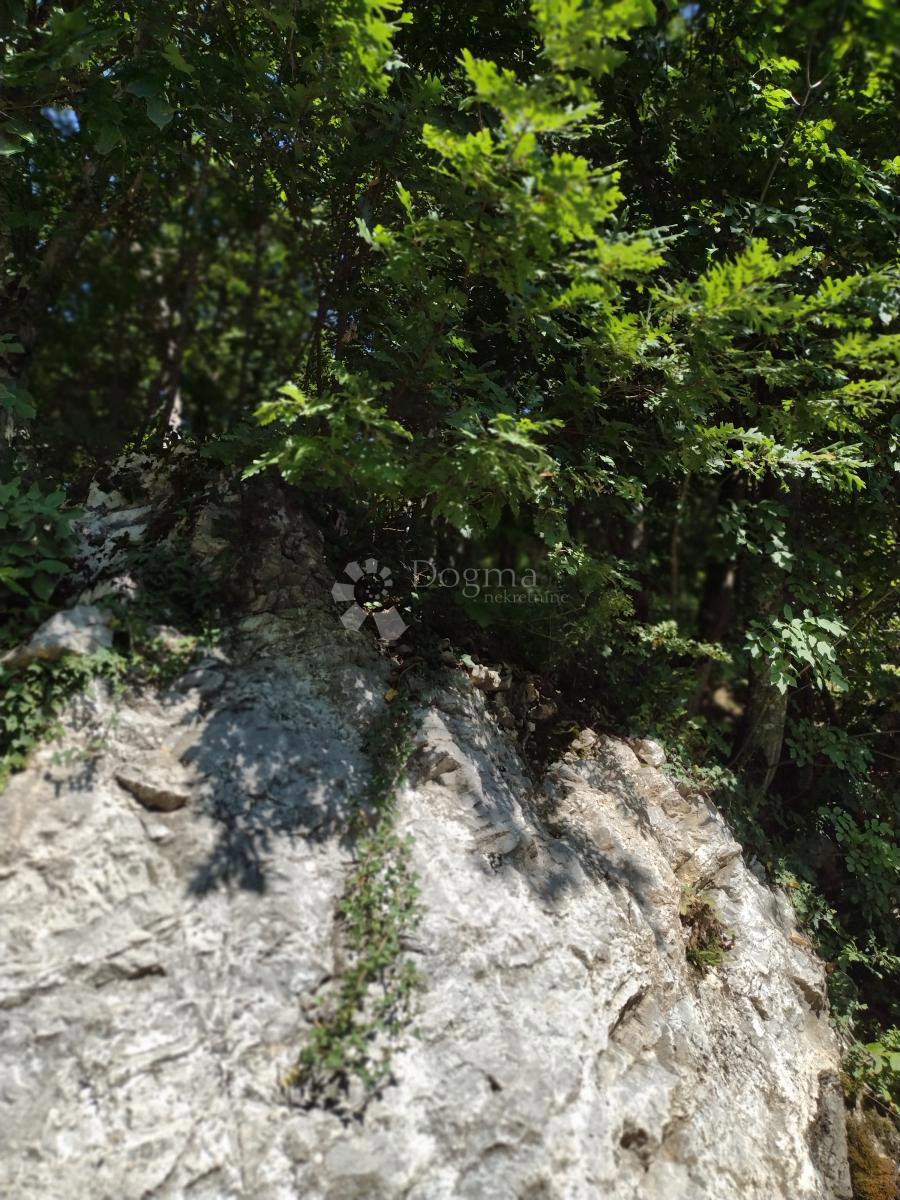Terreno edificabile Cvijanović Brdo, Slunj, 314.494m2