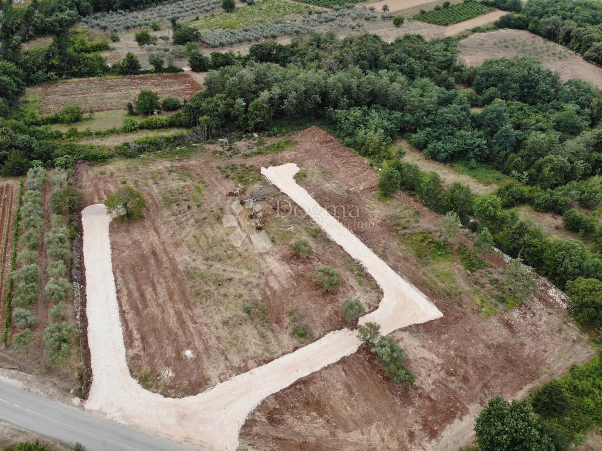 Terreno edificabile Brtonigla, 660m2
