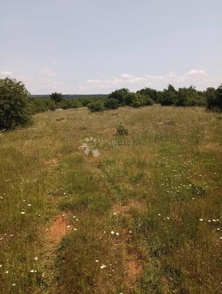 Terreno agricolo 47760m2 - Krmed