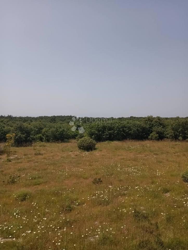 Terreno agricolo 47760m2 - Krmed