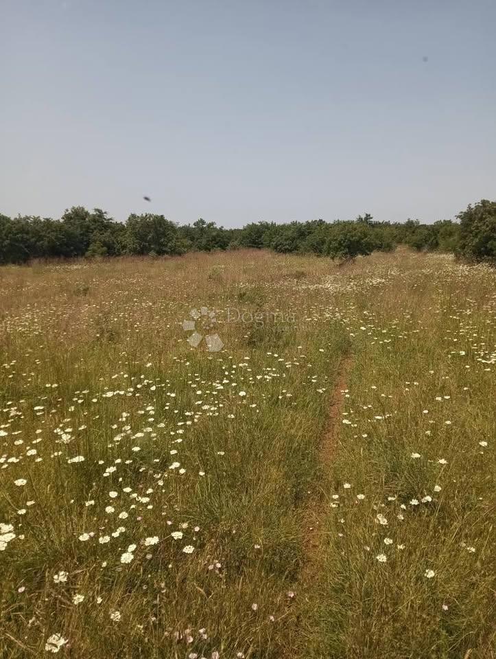 Terreno agricolo 47760m2 - Krmed