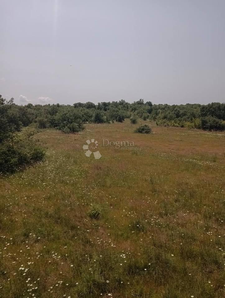 Terreno agricolo 47760m2 - Krmed