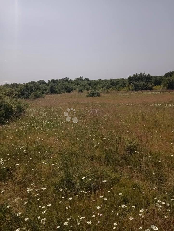 Terreno agricolo 47760m2 - Krmed