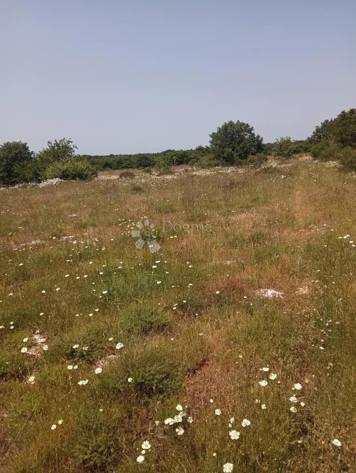 Terreno agricolo 47760m2 - Krmed