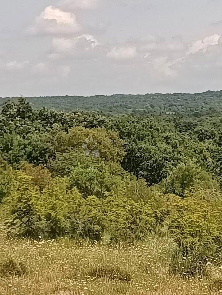 Terreno agricolo 47760m2 - Krmed