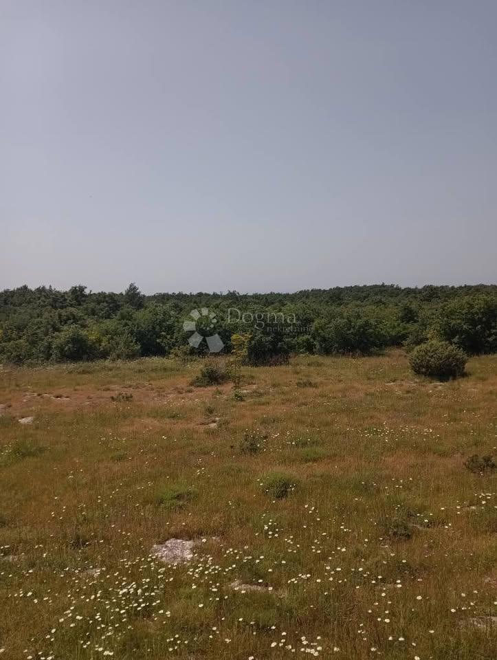 Terreno agricolo 47760m2 - Krmed