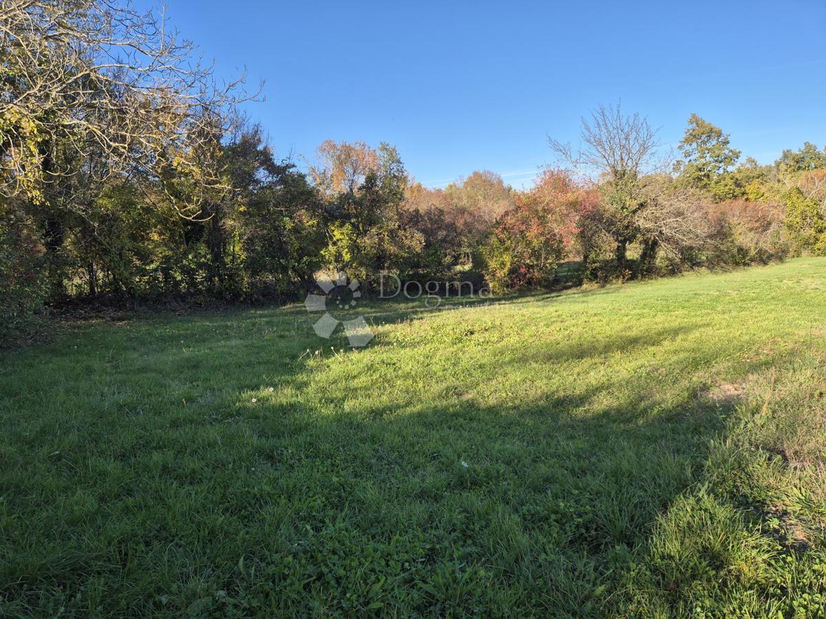 Terreno edificabile Barban, 1.500m2