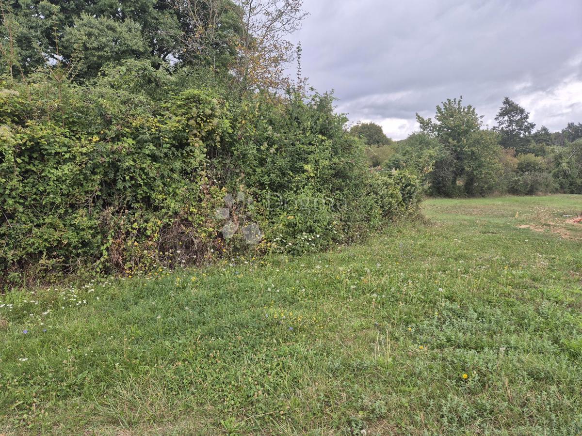 Terreno edificabile Barban, 1.500m2